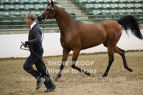 R319_MonAM_0491