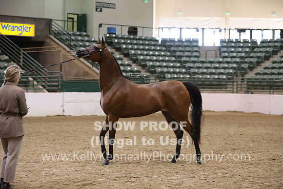 R319_MonAM_0492
