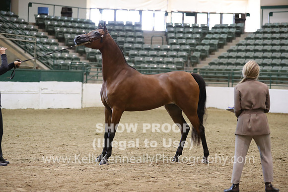 R319_MonAM_0493