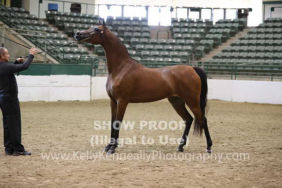 R319_MonAM_0494