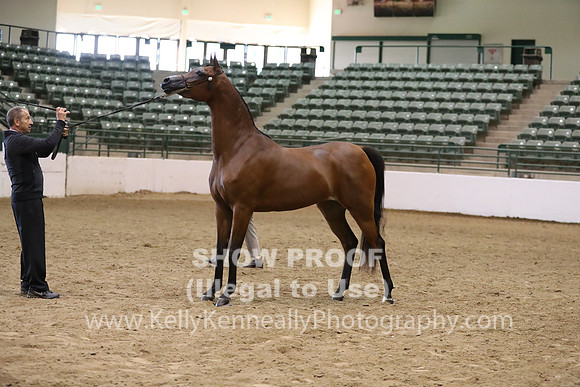 R319_MonAM_0495