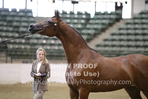 R319_MonAM_0496