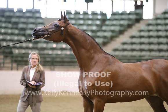 R319_MonAM_0497