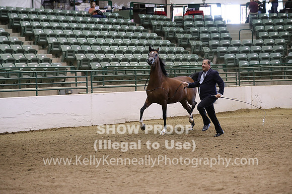 R319_MonAM_0506