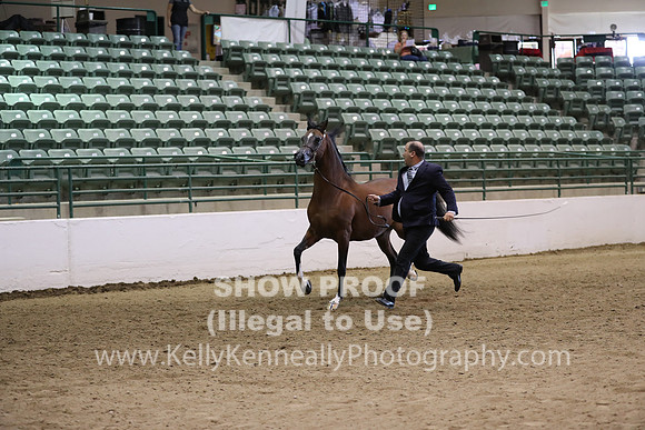 R319_MonAM_0510