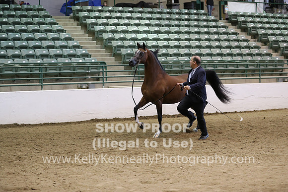 R319_MonAM_0511