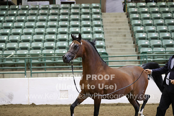 R319_MonAM_0516