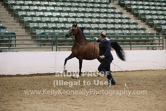 R319_MonAM_0519