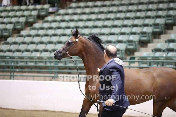 R319_MonAM_0525