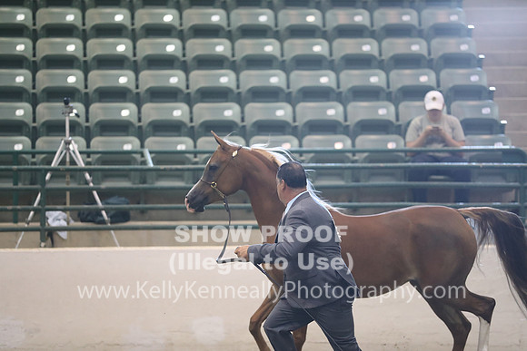 R319_MonAM_0530