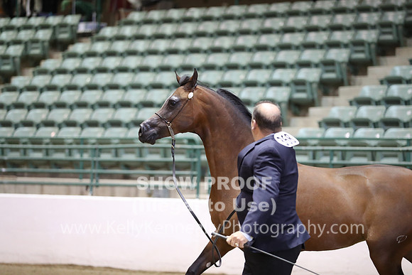 R319_MonAM_0524