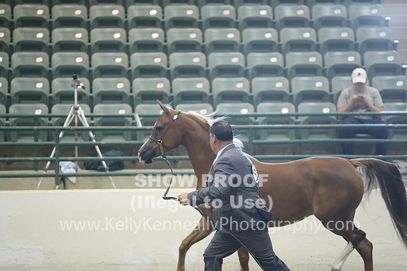 R319_MonAM_0531