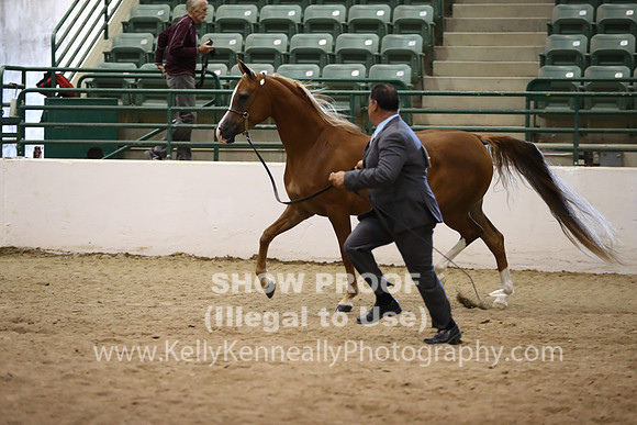 R319_MonAM_0534