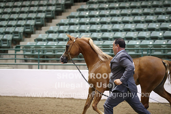 R319_MonAM_0545