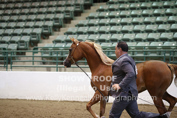 R319_MonAM_0546