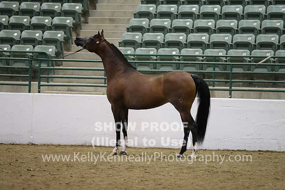 R319_MonAM_0547
