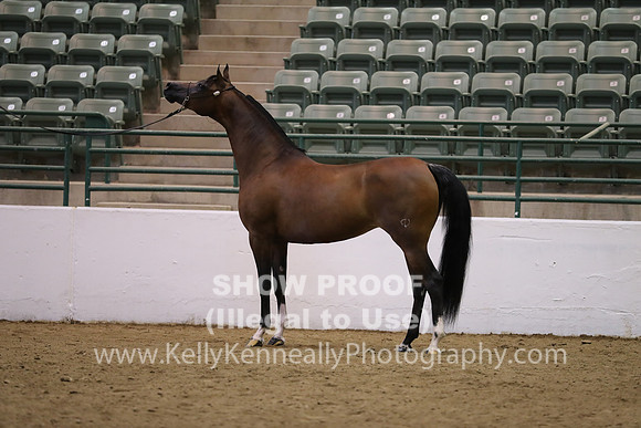 R319_MonAM_0548