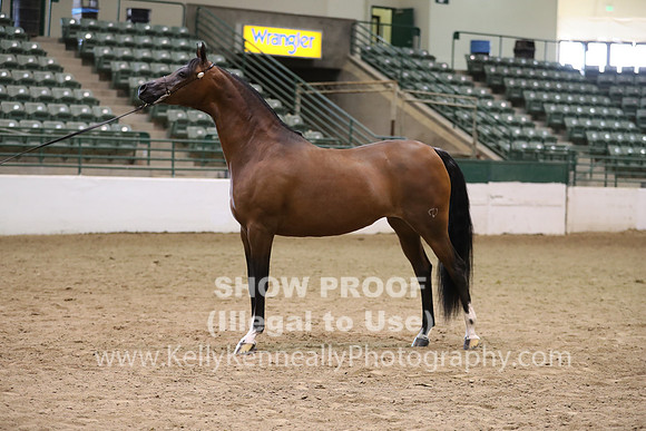 R319_MonAM_0549