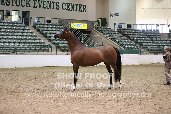 R319_MonAM_0550