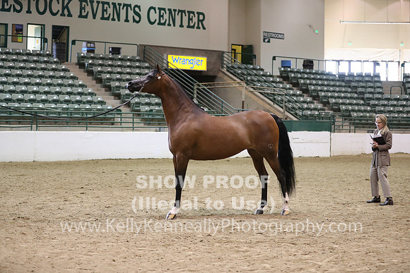 R319_MonAM_0551