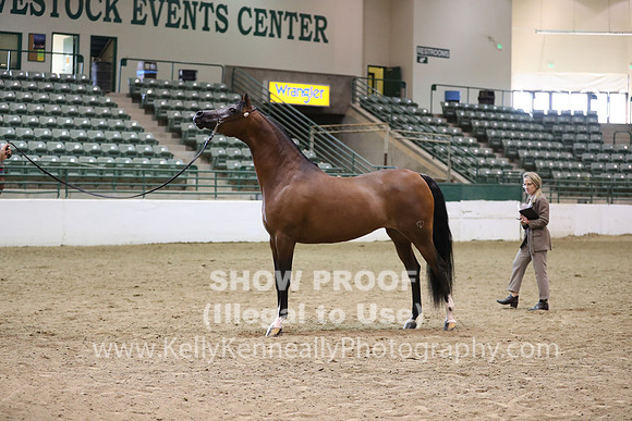 R319_MonAM_0552