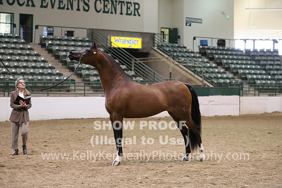 R319_MonAM_0553