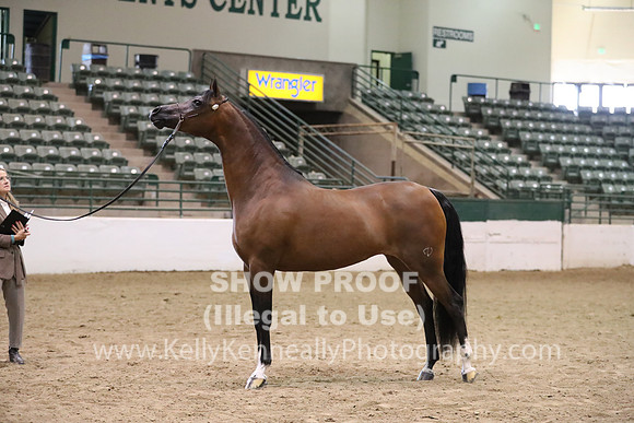 R319_MonAM_0554
