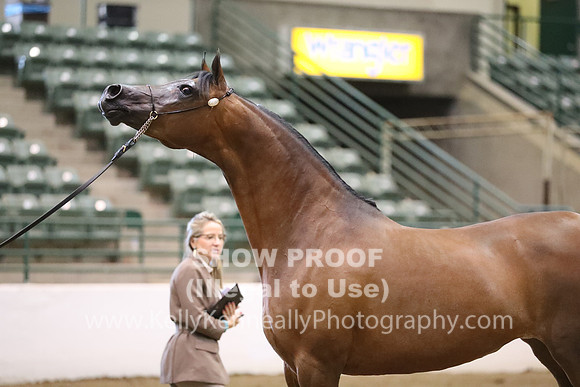 R319_MonAM_0555