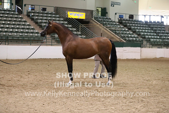 R319_MonAM_0556