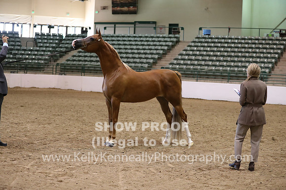 R319_MonAM_0560