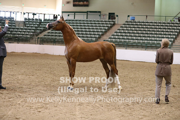 R319_MonAM_0561