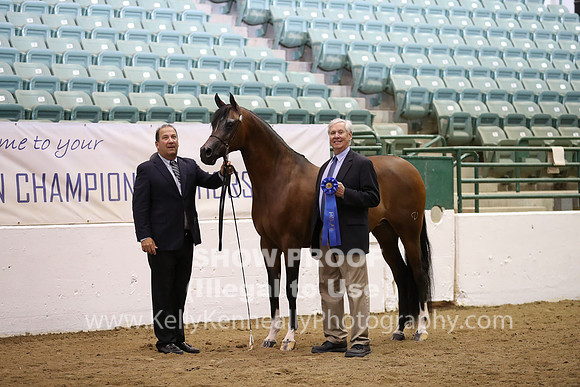 R319_MonAM_0564