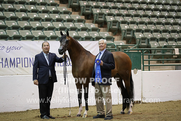 R319_MonAM_0565