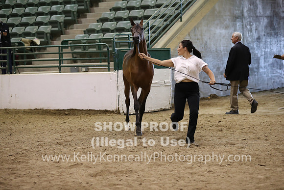 R319_MonAM_0570