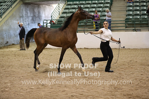 R319_MonAM_0571