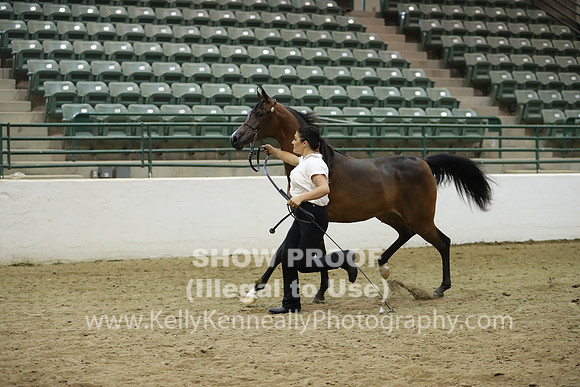 R319_MonAM_0576