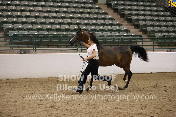 R319_MonAM_0575