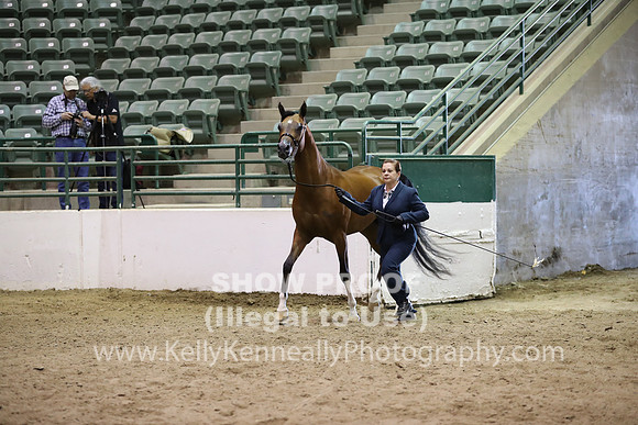 R319_MonAM_0577