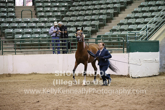 R319_MonAM_0579