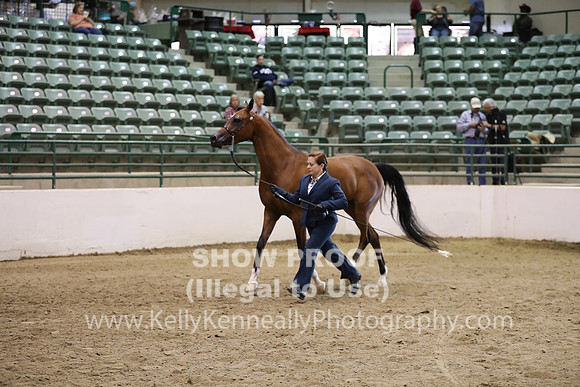 R319_MonAM_0581