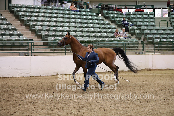 R319_MonAM_0583