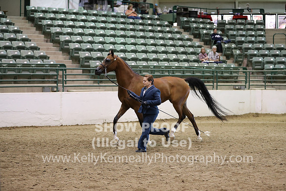 R319_MonAM_0584