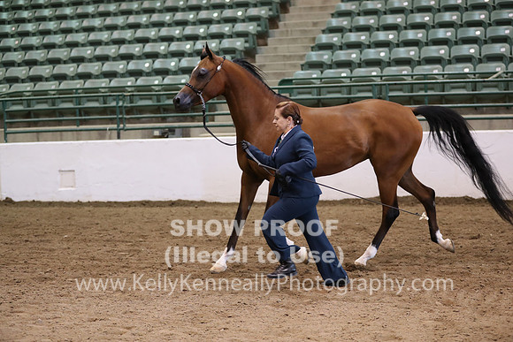 R319_MonAM_0586