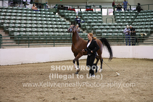 R319_MonAM_0594