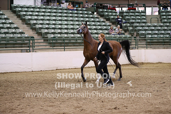 R319_MonAM_0595
