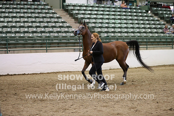 R319_MonAM_0597