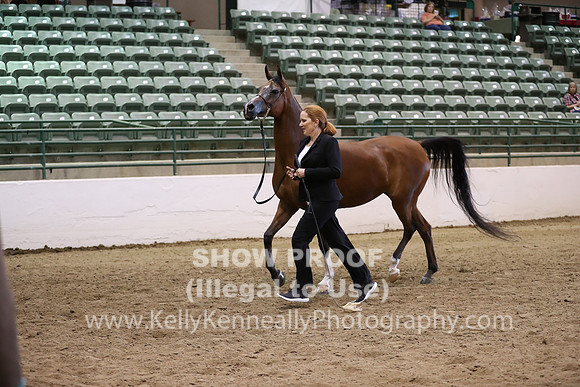 R319_MonAM_0598