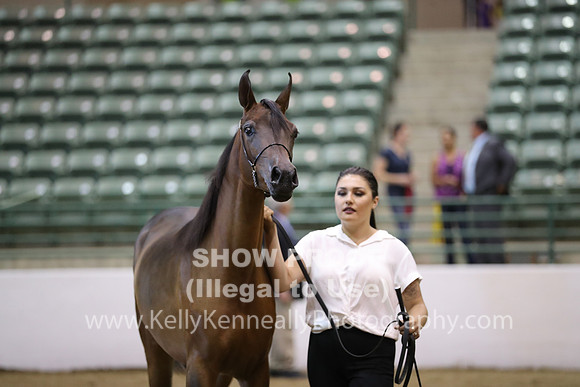 R319_MonAM_0608