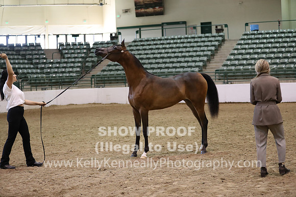 R319_MonAM_0609