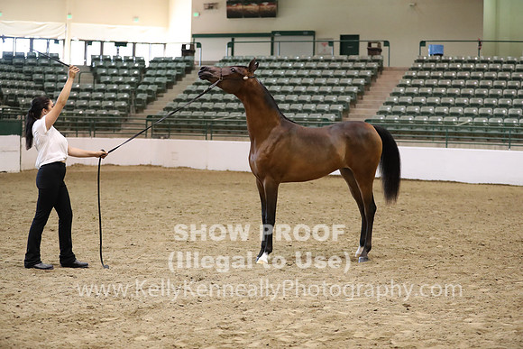 R319_MonAM_0610